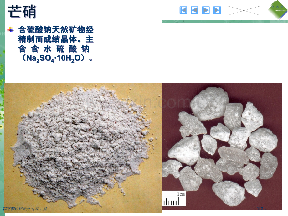 泻下药临床教学专家讲座.pptx_第2页