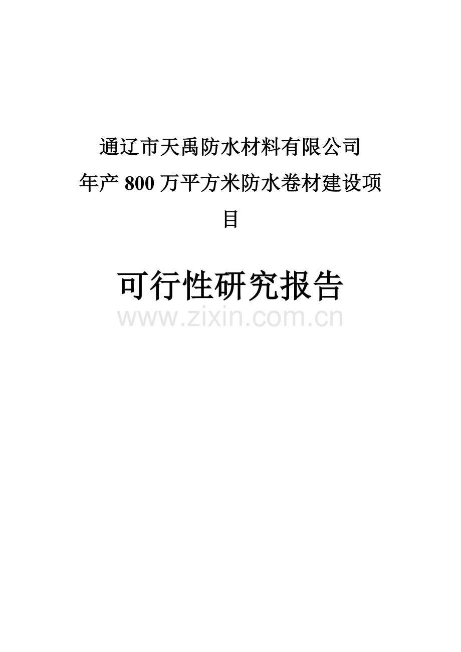 防水卷材申请建设可研报告书.doc_第1页