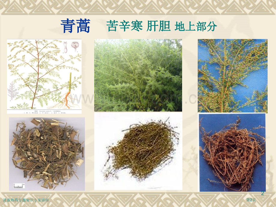 清虚热药专题知识专家讲座.pptx_第2页
