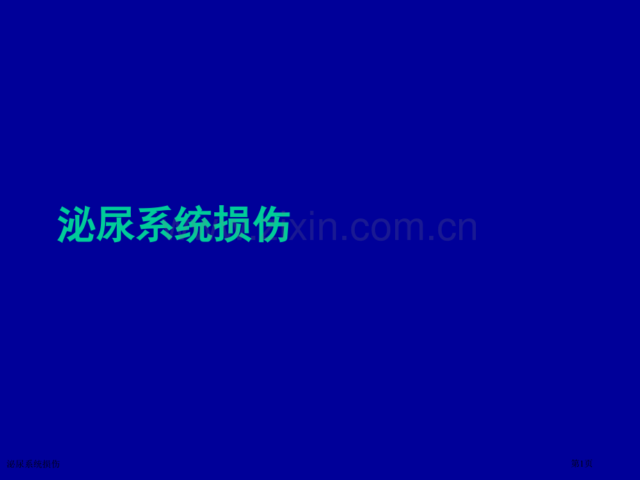 泌尿系统损伤.pptx_第1页