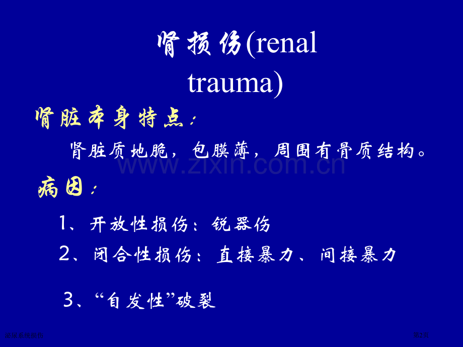 泌尿系统损伤.pptx_第2页