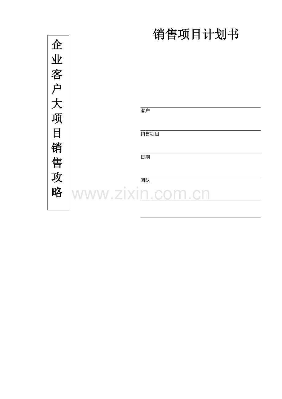 企业大项目销售项目计划书-新.docx_第1页