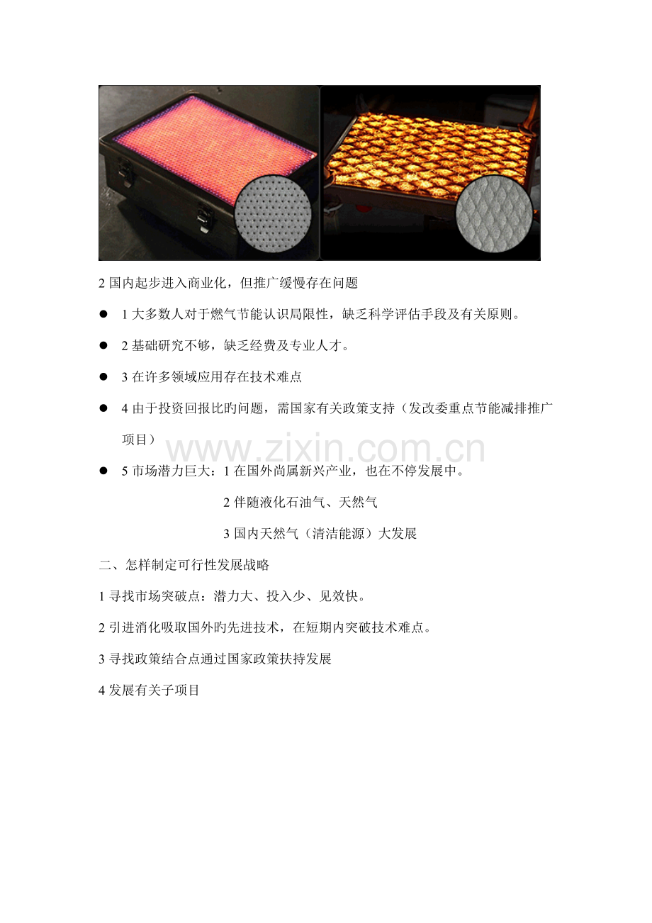 金属纤维燃烧器项目概述及可行性方案报告.doc_第2页