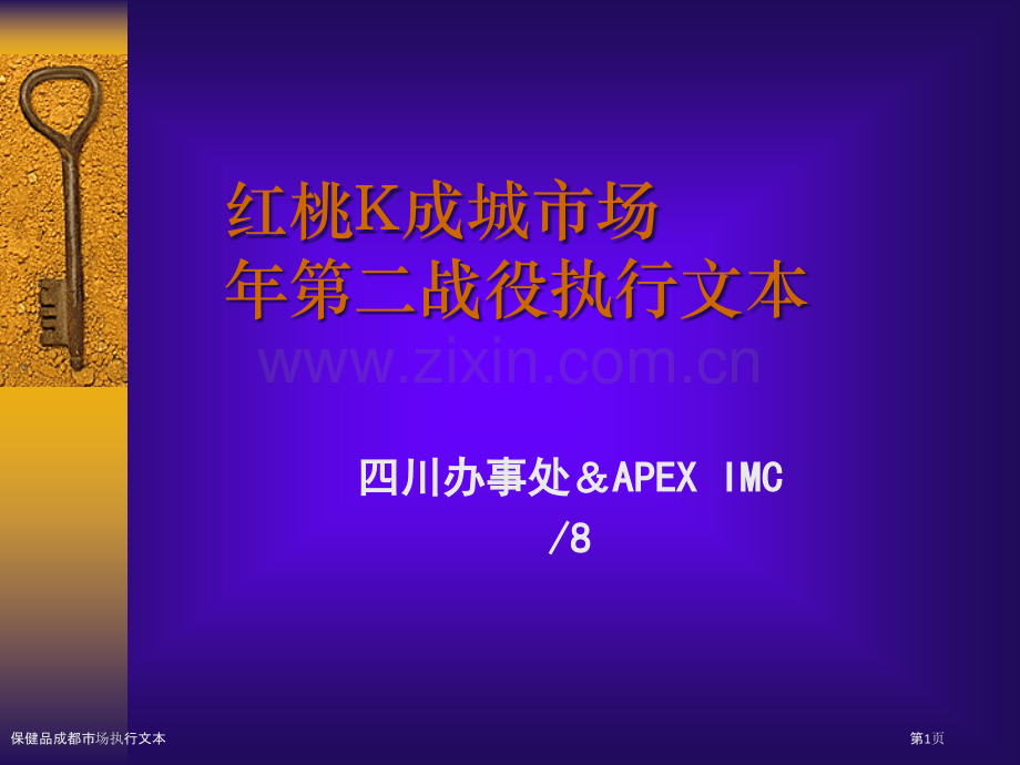 保健品成都市场执行文本.pptx_第1页