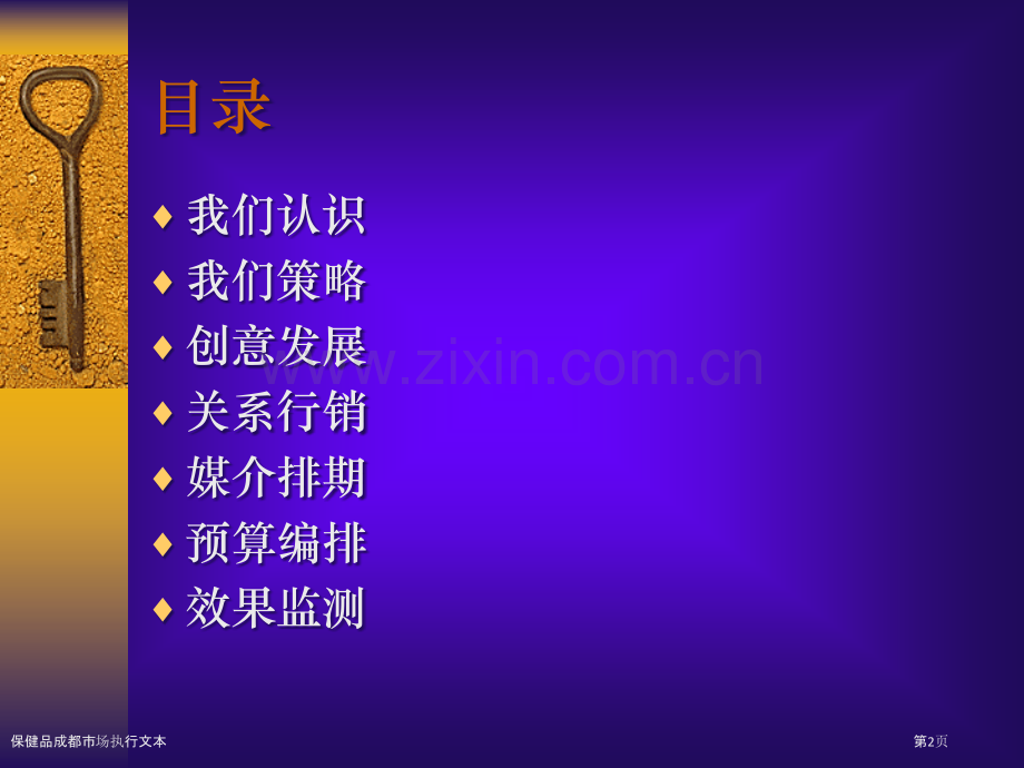 保健品成都市场执行文本.pptx_第2页