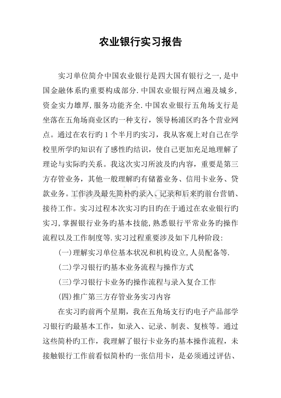 农业银行实习报告.docx_第1页