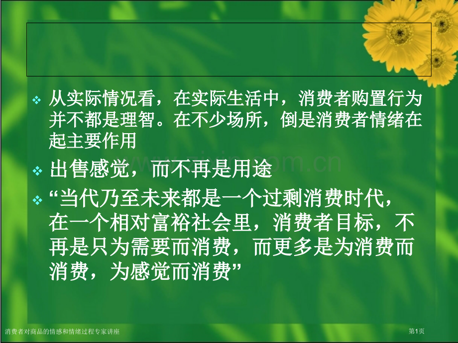 消费者对商品的情感和情绪过程专家讲座.pptx_第1页
