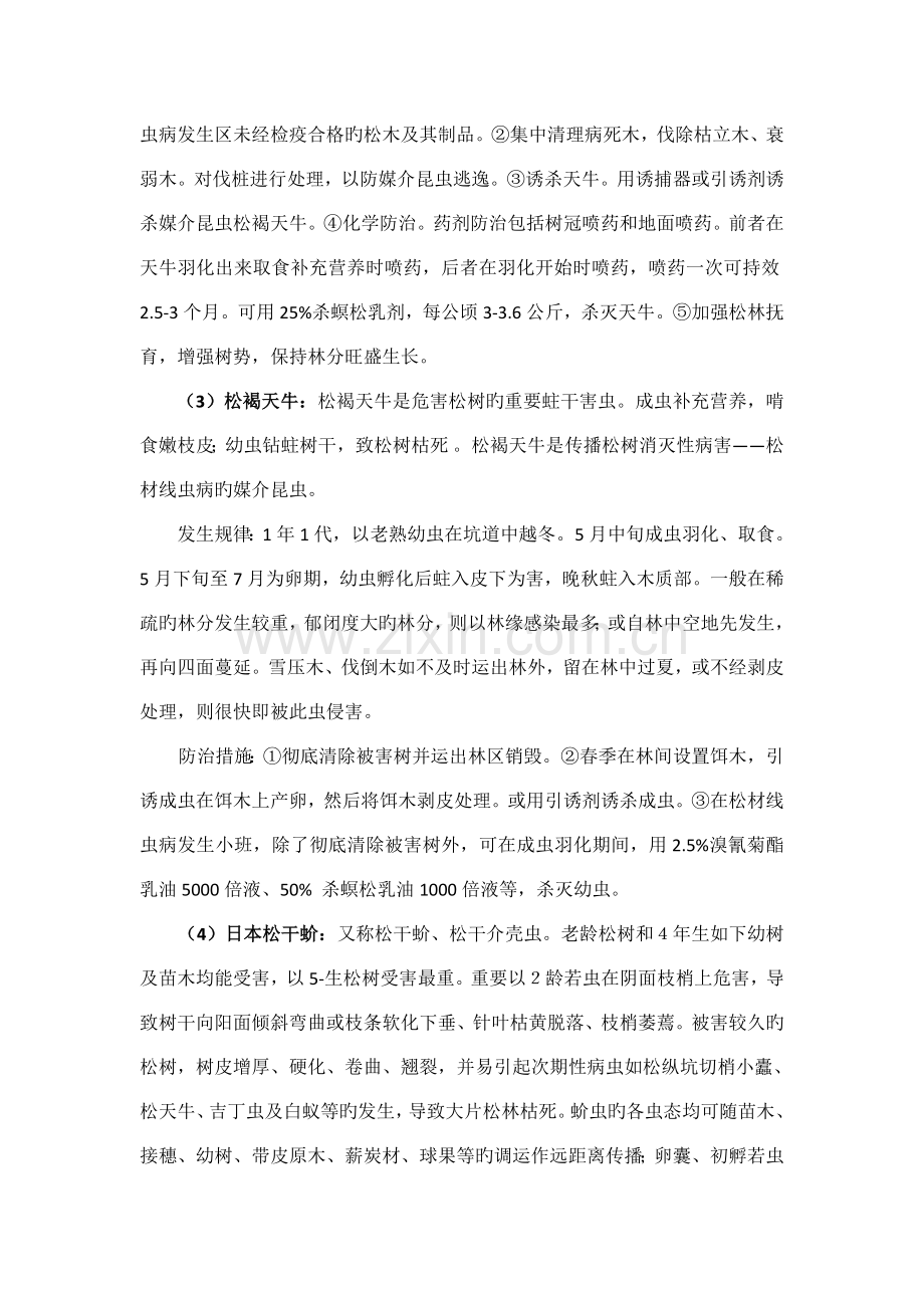 松树灾后易发主要病虫害防治技术要点.doc_第2页