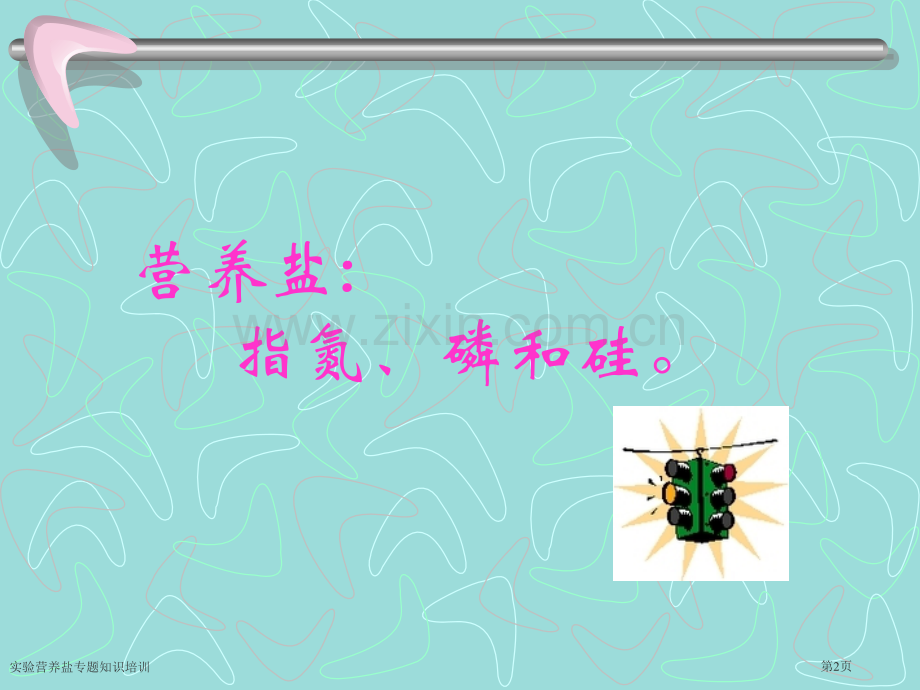 实验营养盐专题知识培训.pptx_第2页