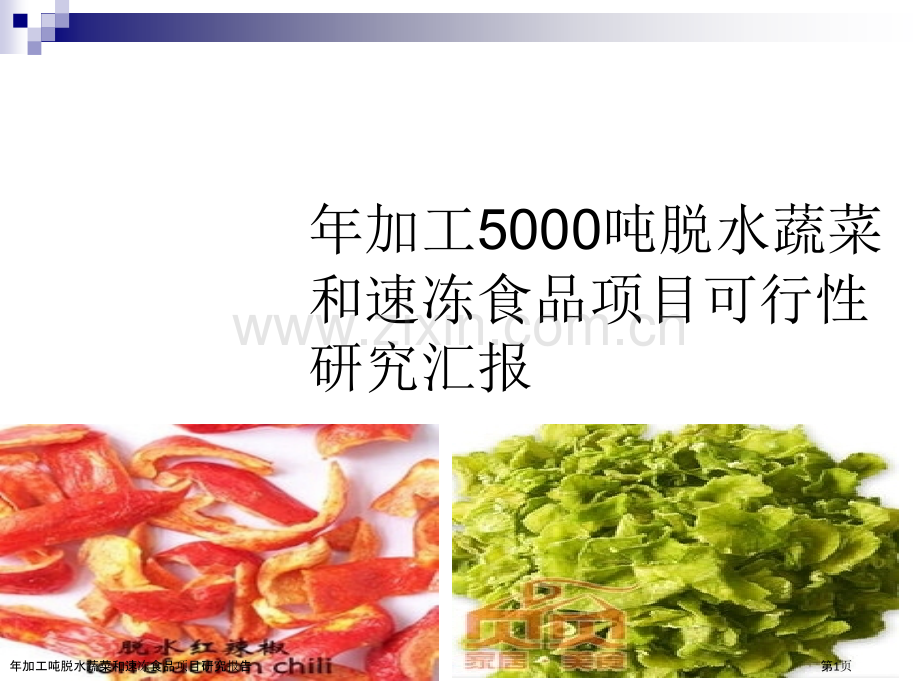 年加工吨脱水蔬菜和速冻食品项目研究报告.pptx_第1页