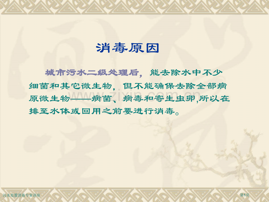 污水处置消毒专家讲座.pptx_第1页