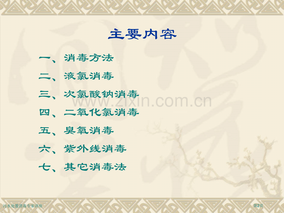 污水处置消毒专家讲座.pptx_第2页