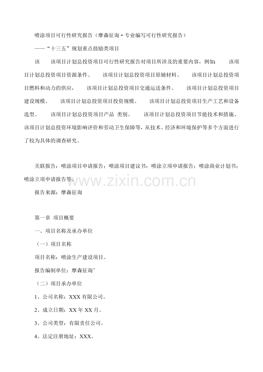 喷涂项目可行性研究报告摩森咨询·专业编写可行性研究.doc_第1页