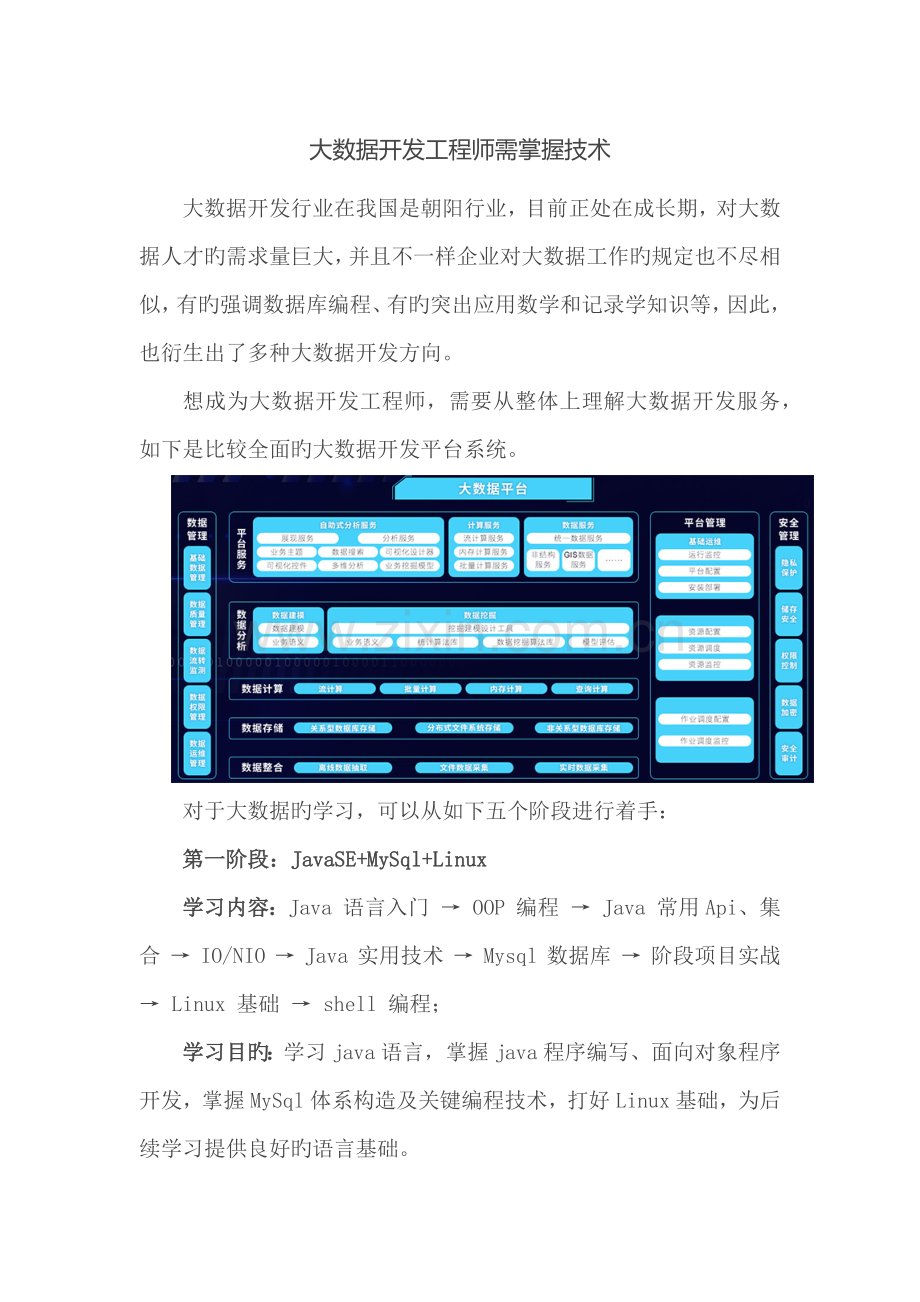 大数据开发工程师需掌握技术.docx_第1页