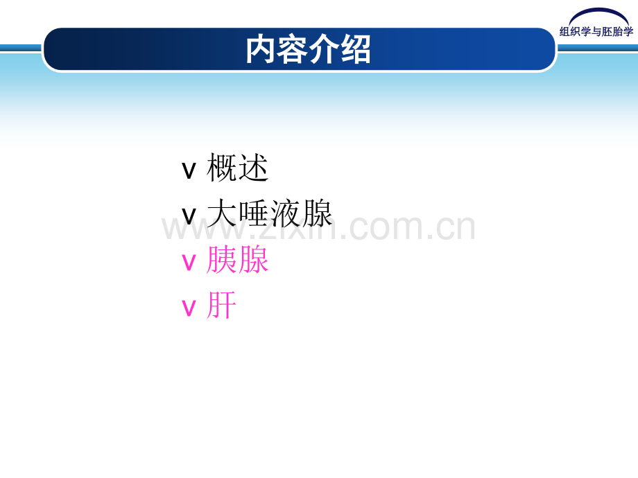 消化腺医学宣教专家讲座.pptx_第2页