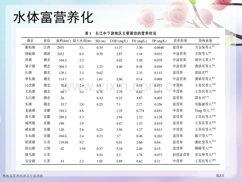水体富营养化讲义专家讲座.pptx_第2页