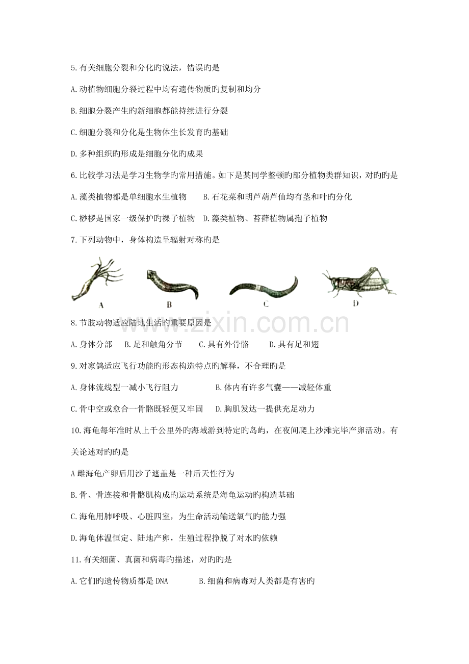 2023年山东省潍坊市初中学业水平考试.doc_第2页