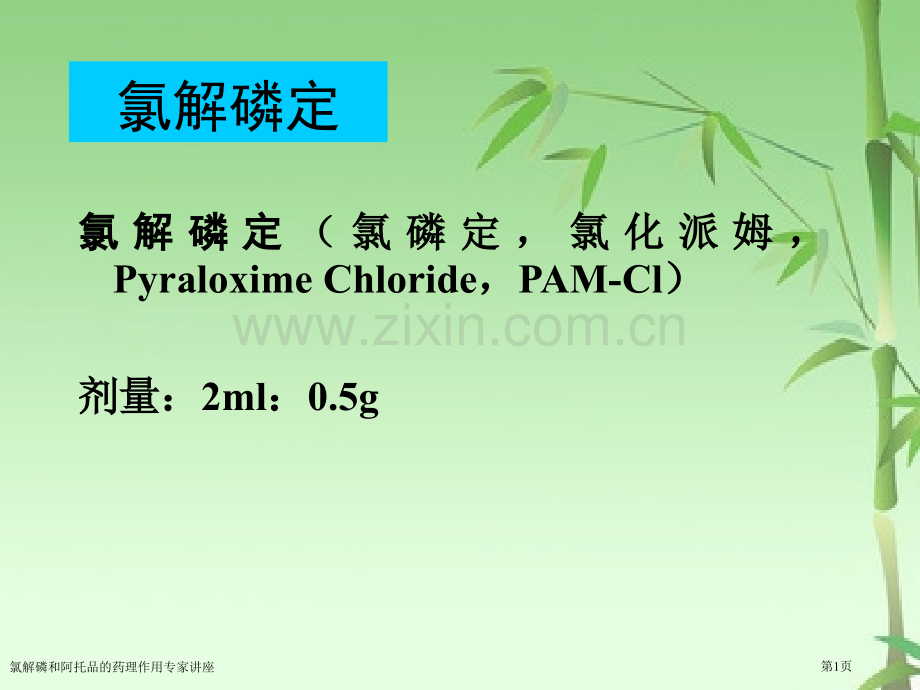 氯解磷和阿托品的药理作用专家讲座.pptx_第1页