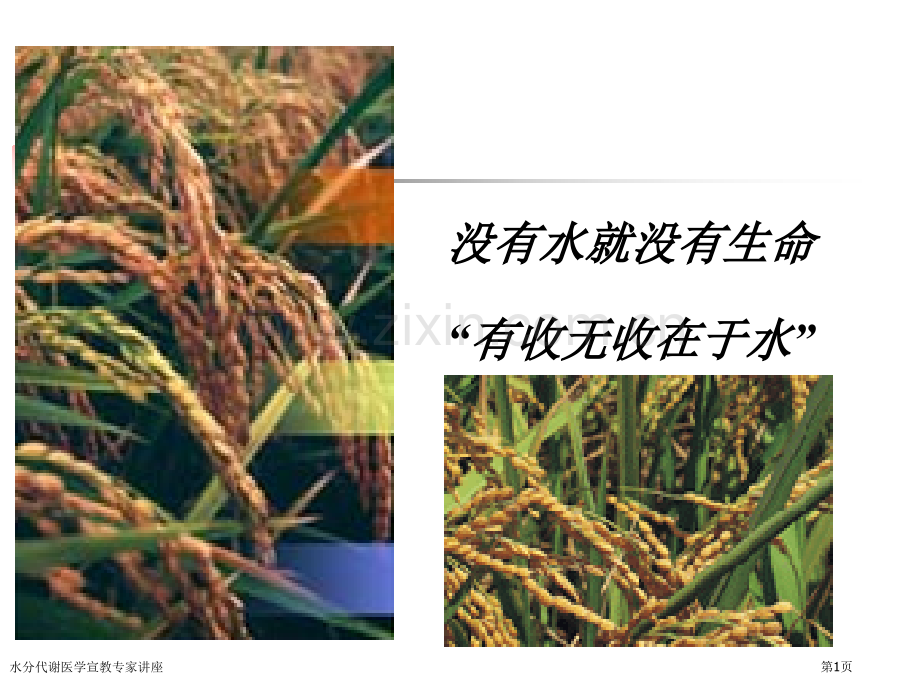 水分代谢医学宣教专家讲座.pptx_第1页