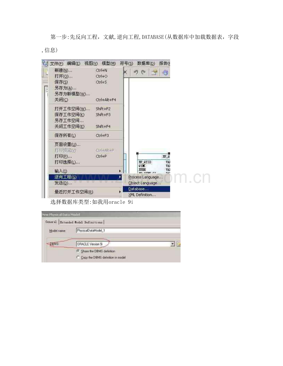 研究报告用PowerDesigner逆向工程导出ORACLE数据库表字段注释.doc_第2页