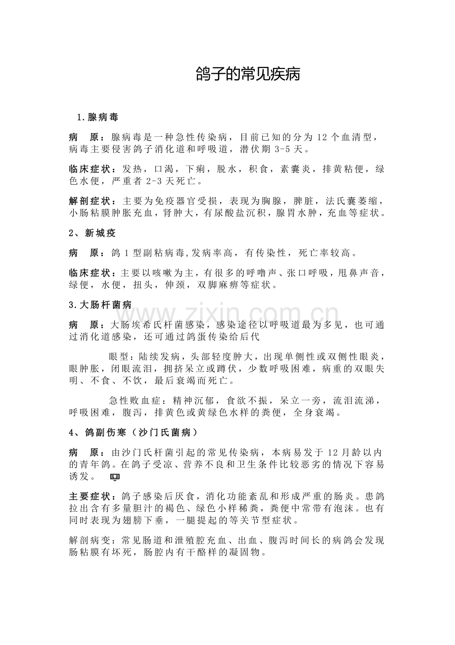 鸽子的常见疾病.doc_第1页