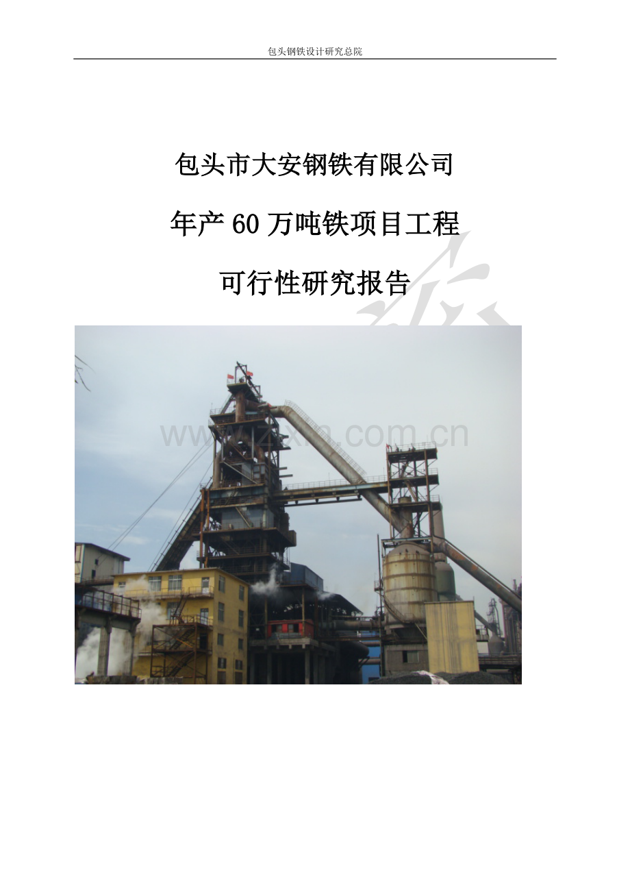 年产60万吨铁项目工程立项建设申请建设可研报告.doc_第1页