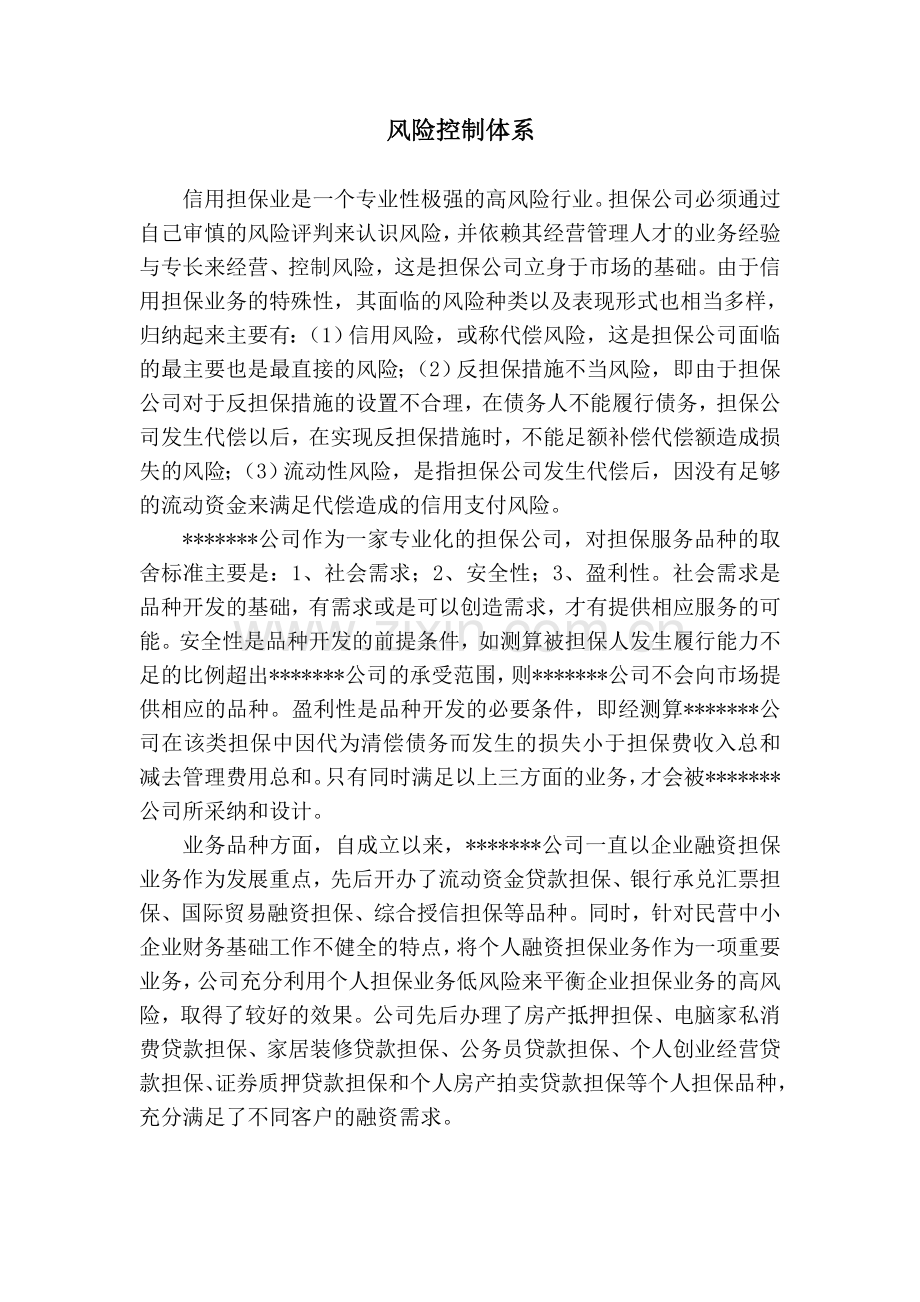 风险管理体系.doc_第1页
