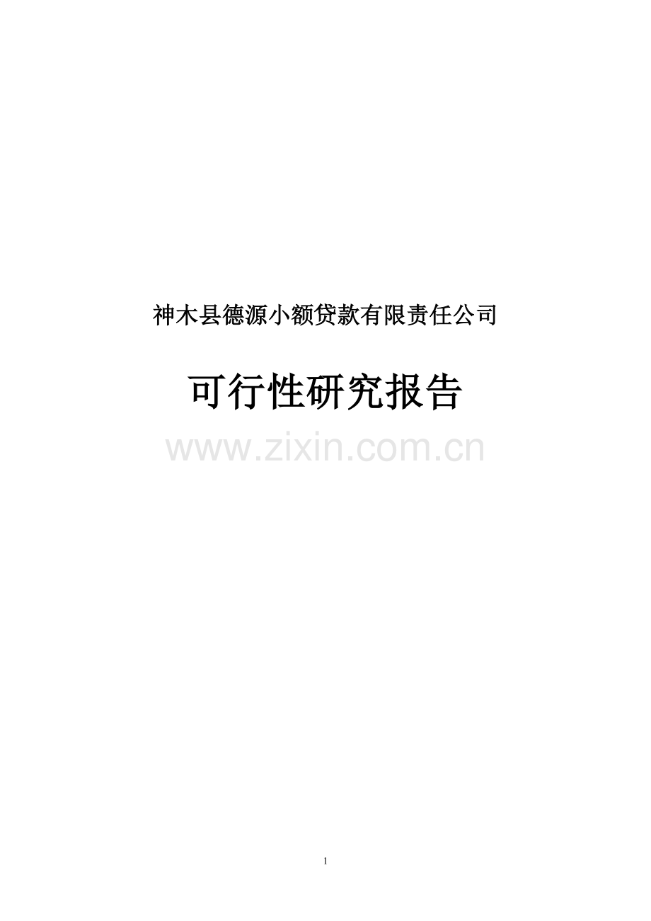 神木县德源小额贷款有限责任公司建设建议书.doc_第1页