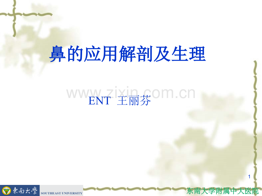 鼻的应用解剖及生理课件.ppt_第1页