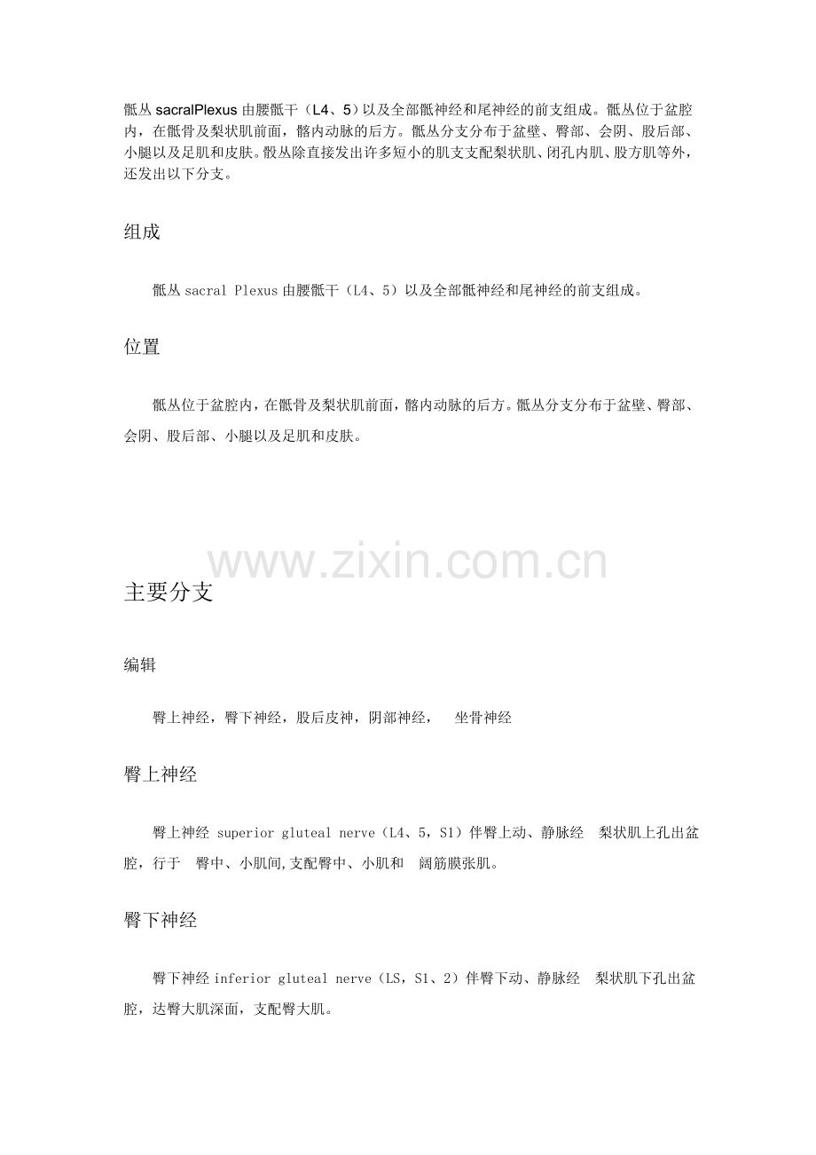 骶丛神经的分支.doc_第1页