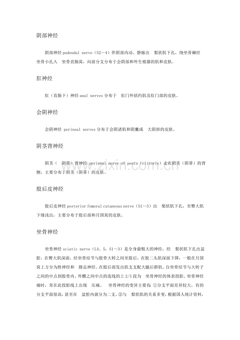 骶丛神经的分支.doc_第2页