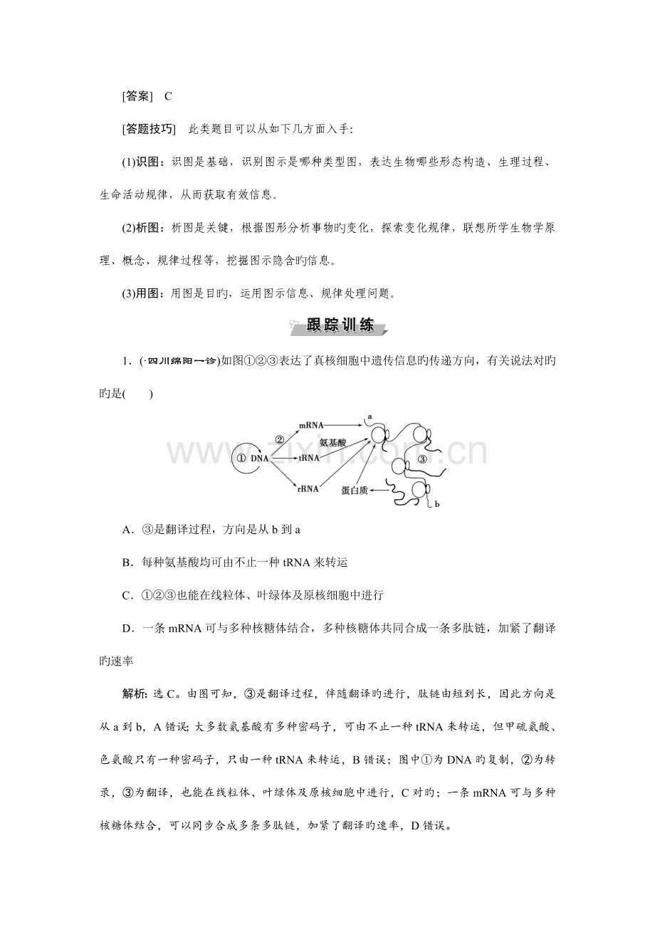 优化方案高考生物大一轮复习练习第六单元遗传的物质基础单元培优提能系列doc.doc_第2页