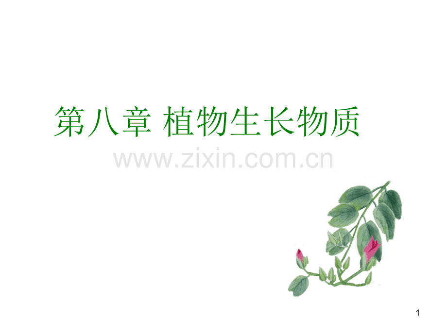 植物的生长物质.ppt_第1页