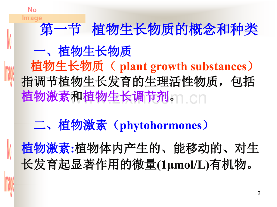 植物的生长物质.ppt_第2页