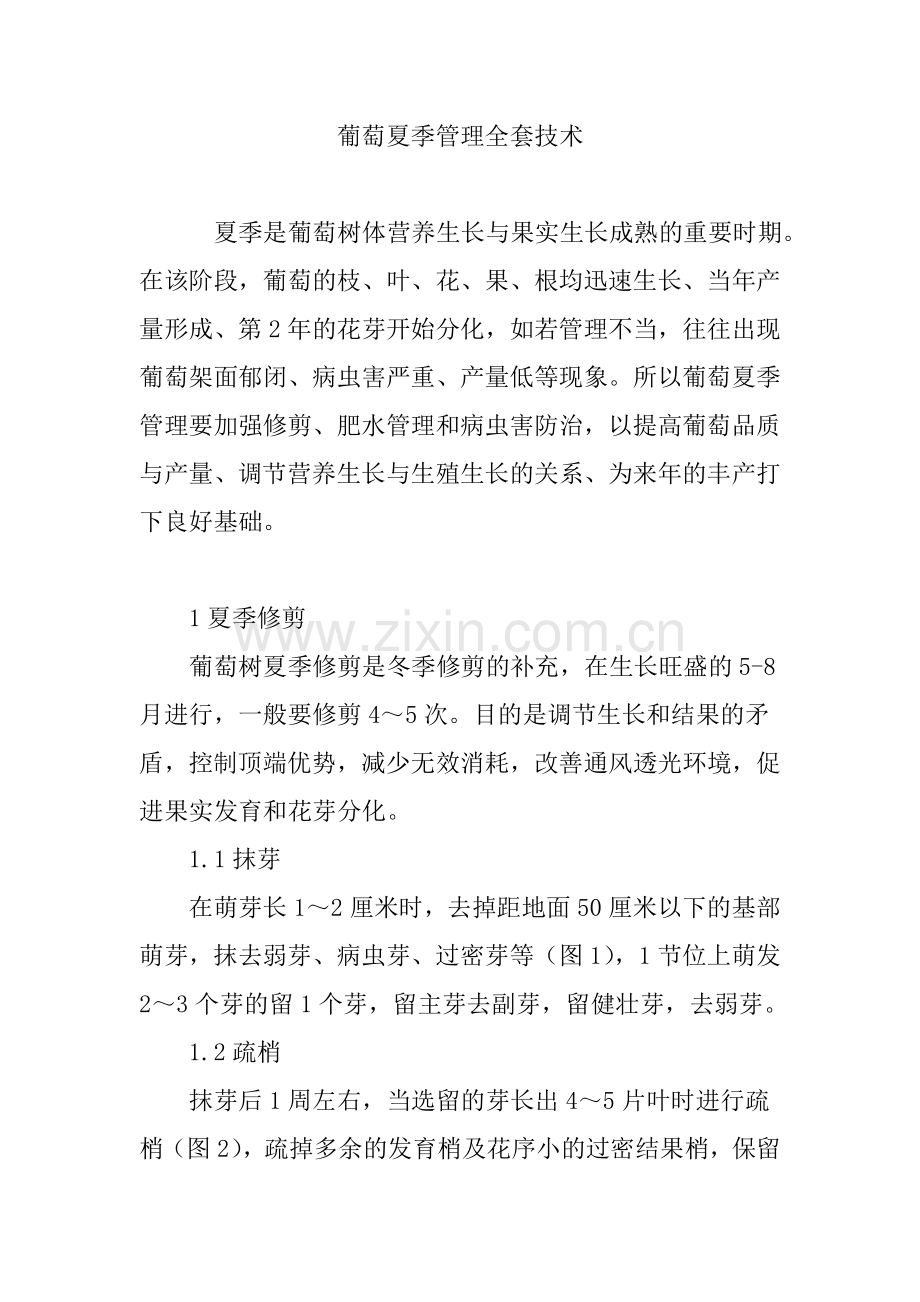 葡萄夏季管理全套技术.doc_第1页