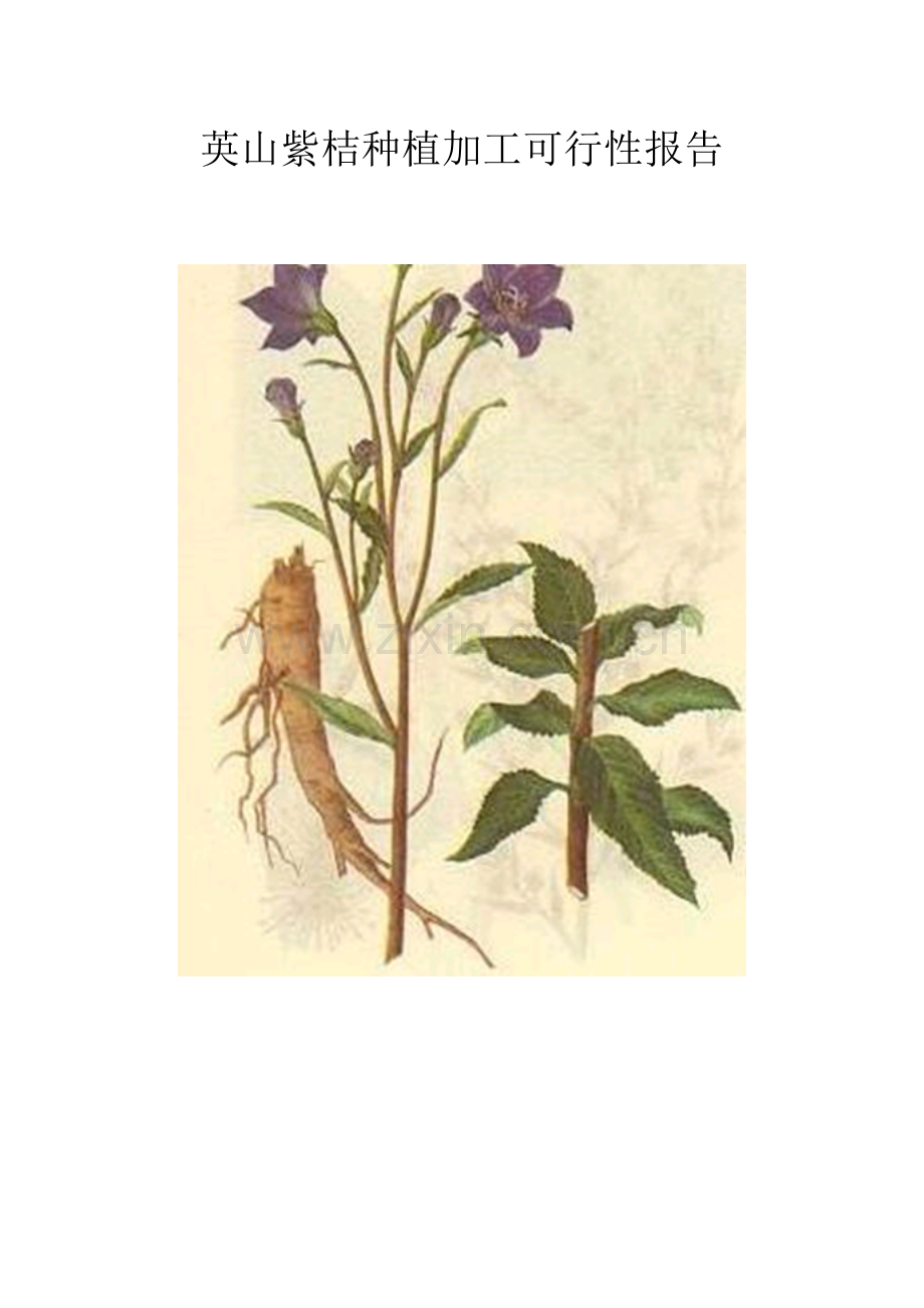 英山紫桔种植加工建设申请建设可研报告.doc_第1页