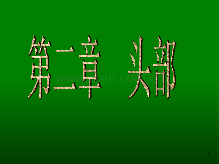艺用解剖头部(课堂PPT).ppt_第1页