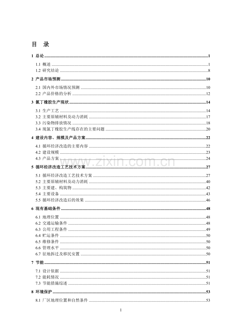 氯丁橡胶生产工艺循环经济改造项目申请建设可研报告书.doc_第1页