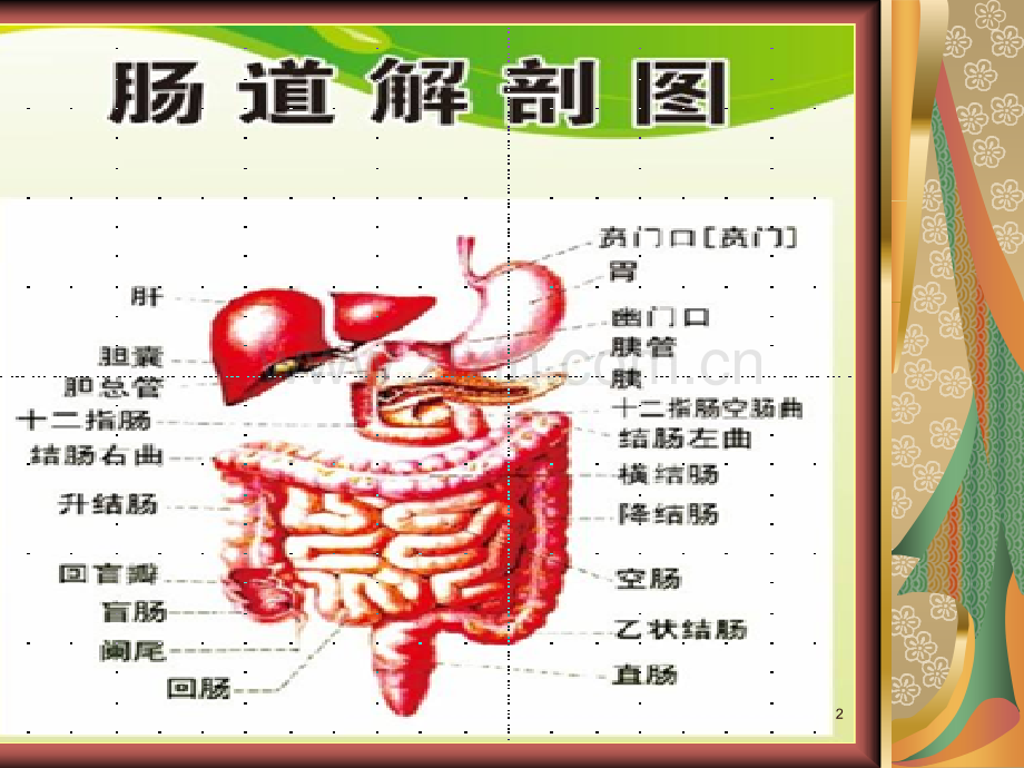结肠镜检查前肠道准备和术后指导(课堂PPT).ppt_第2页