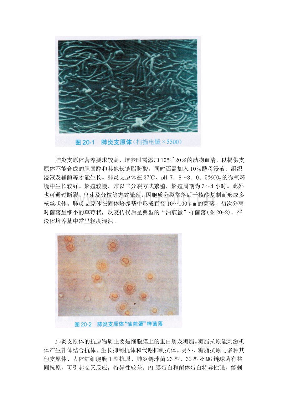 肺炎支原体.doc_第2页