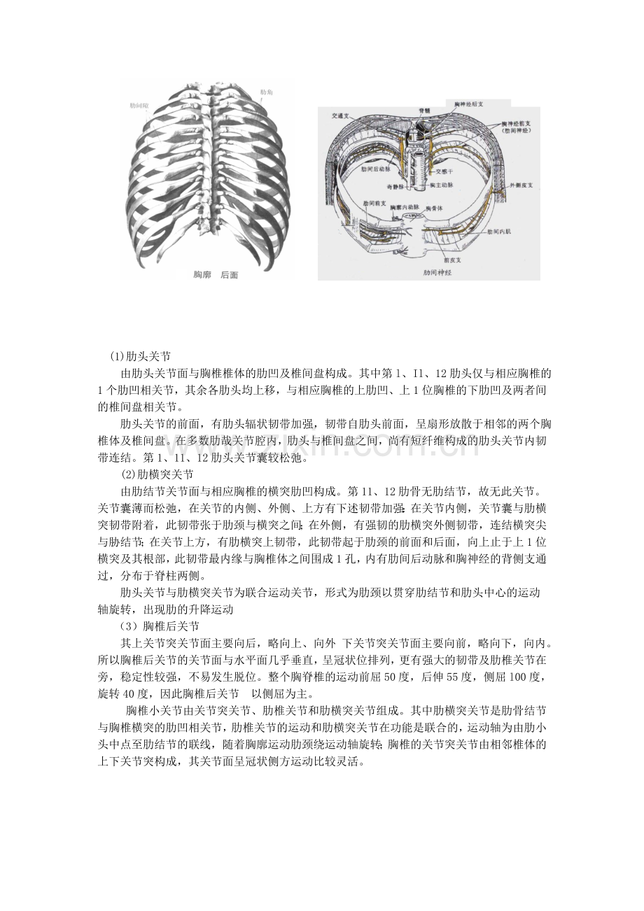 胸椎小关节紊乱症.doc_第2页