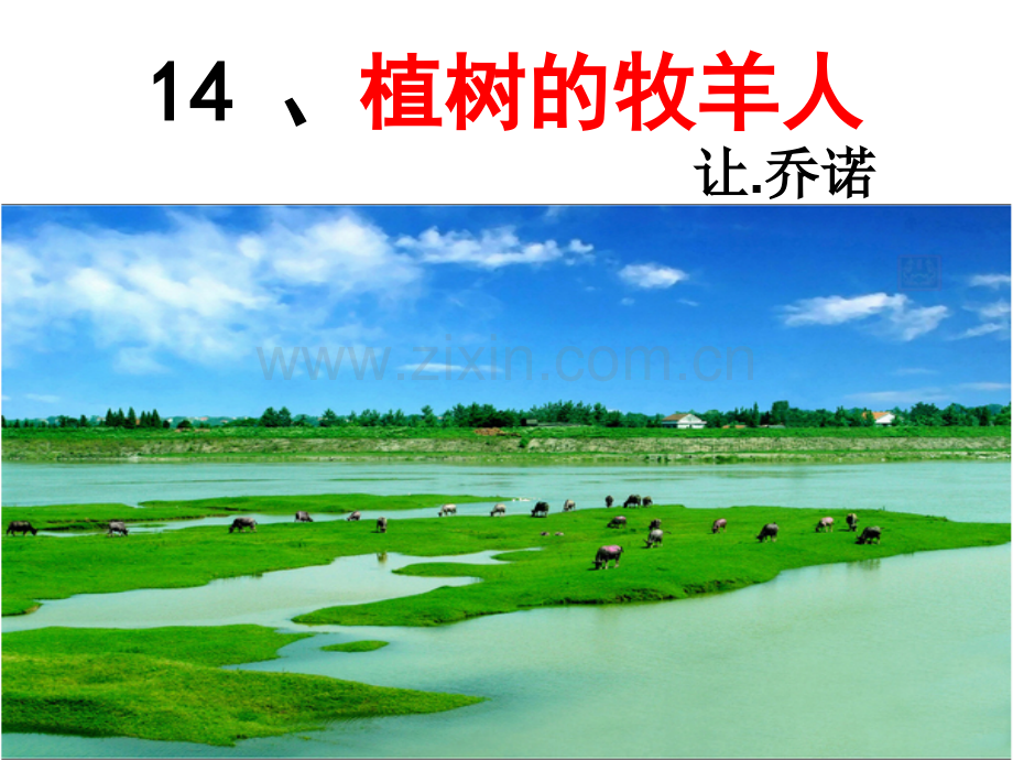植树的牧羊人优秀课件.ppt_第1页