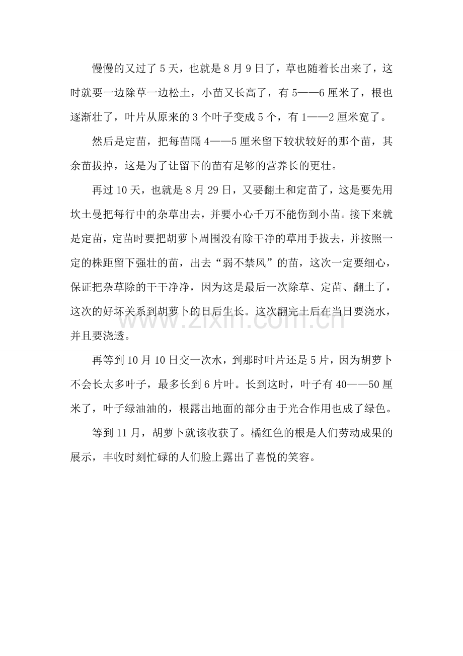 胡萝卜的观察日记.doc_第2页