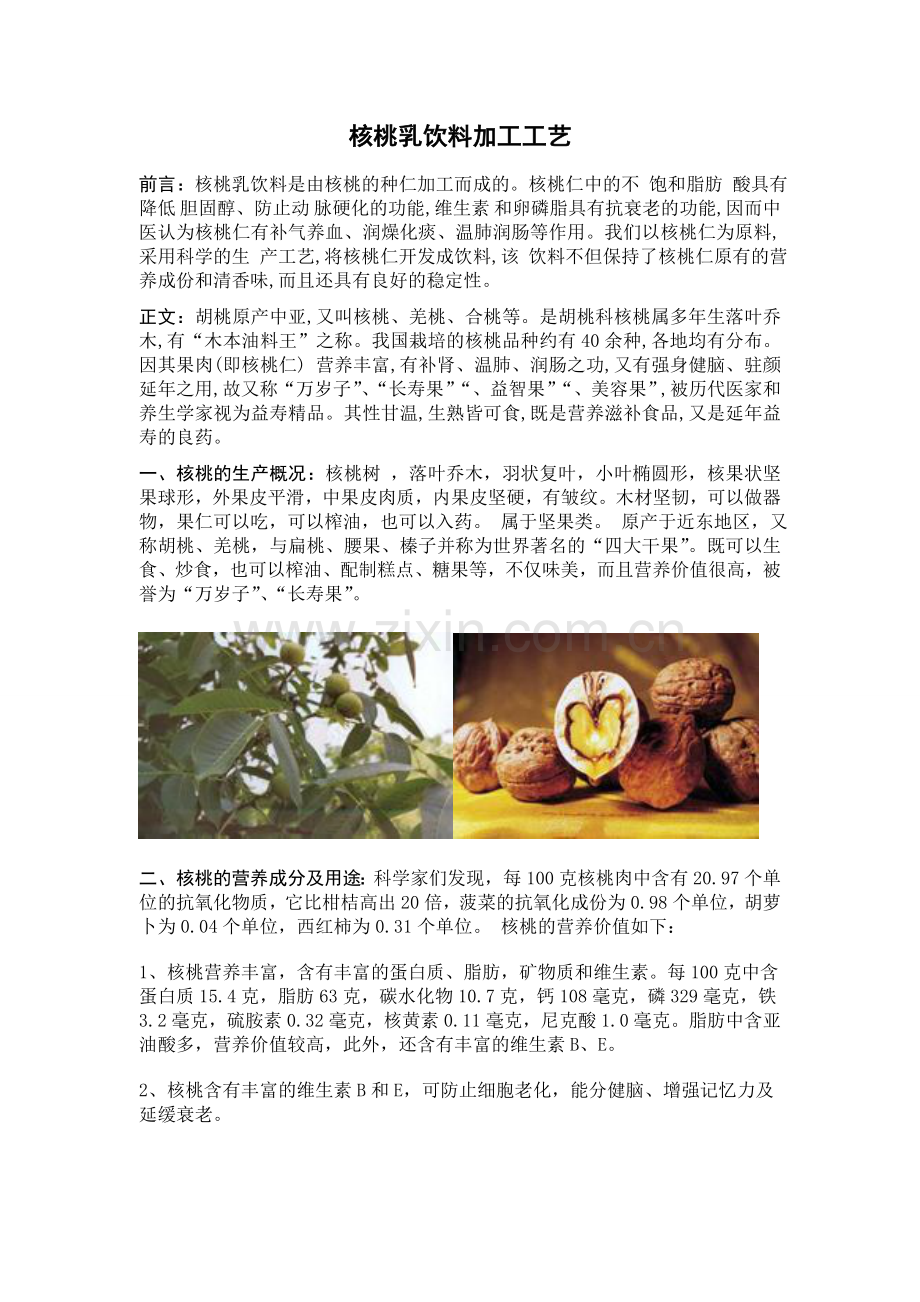 核桃乳饮料加工工艺.doc_第2页