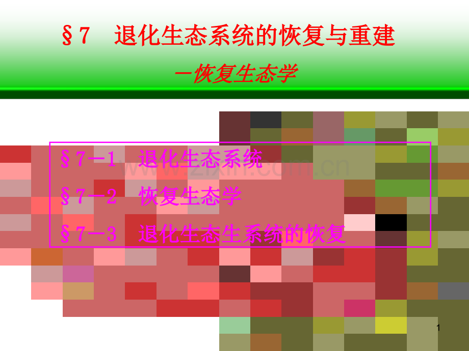 退化生态系统的恢复与重建.ppt_第1页