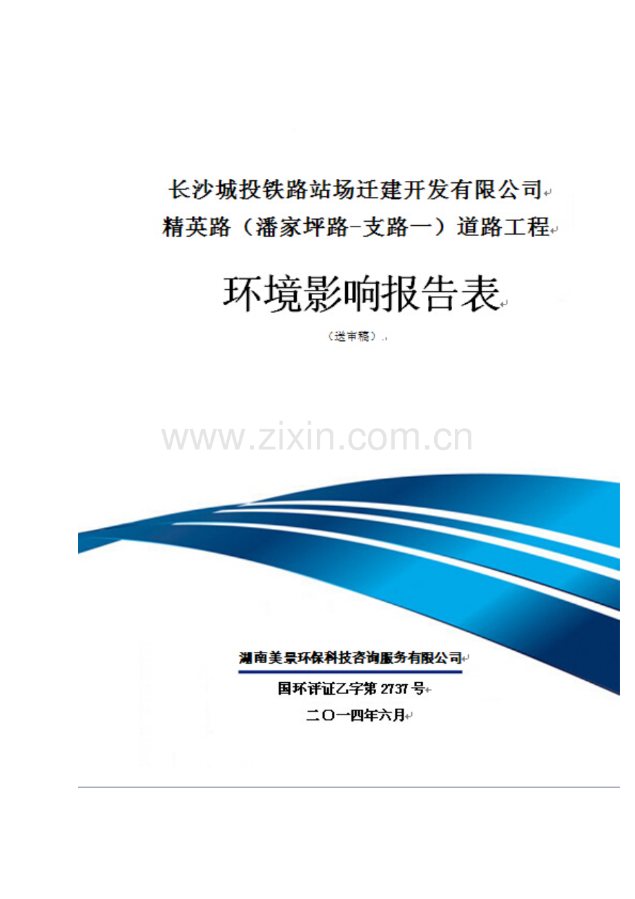 精英路(潘家坪路-支路一)道路工程环境影响报告.doc_第1页