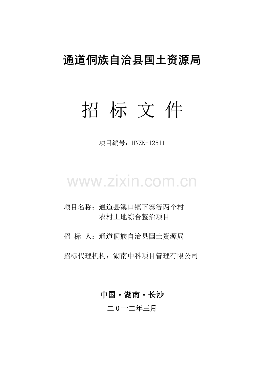 通道招标文件格式.doc_第1页