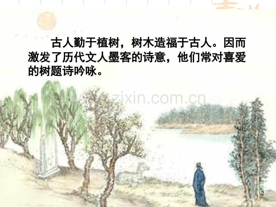 种树郭橐驼传完整翻译(教学用)(课堂PPT).ppt_第2页