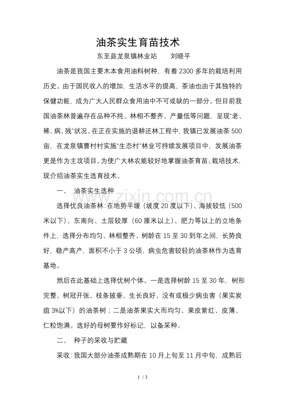 油茶实生育苗技术.doc_第1页