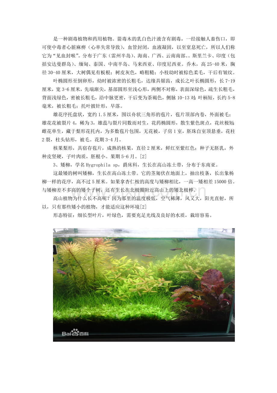 神奇的植物选修课教案.doc_第2页